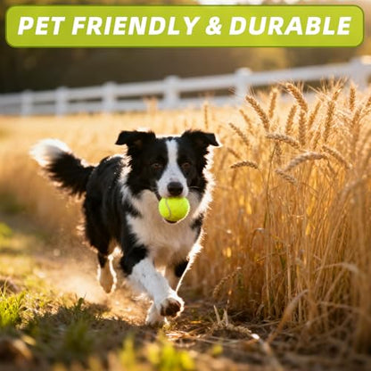 PoyPet 16-Pack Tennis Balls Bulk for Practice,Training and Beginners | Ideal for Dog Fetch,Chew and Play - color: Yellow