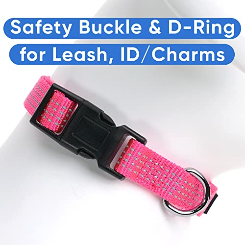 Pawtitas Reflective Dog Collar for X-Small Dogs – Adjustable Nylon Puppy Collar with Quick-Release Buckle | Fits Neck 8–13 in | Night Safety Training Collar | XS | Pink - color: Pink, size: X-Small (Pack of 1)