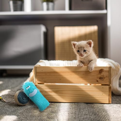 Abaodam Catnip Plush for Cats Interactive Chew Sturdy Blue Pillow for Indoor and Outdoor Cats Kitten Chewing and Playing Pet
