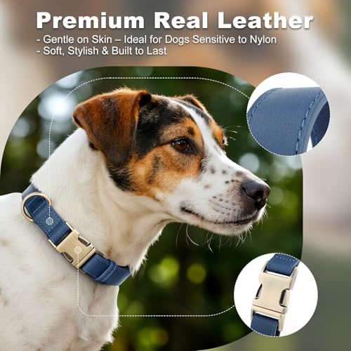 Plutus Pet Genuine Leather Dog Collar – Adjustable Pet Collar with Quick Release Metal Buckle, Soft Real Leather for Small Medium Large Dogs, Heavy Duty & Skin-Friendly (Royal Blue, XS) - color: Royal Blue, size: XS