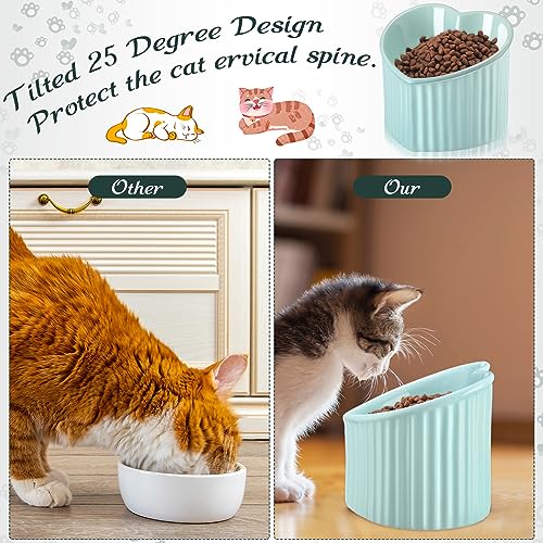Mumufy 2 Pcs Ceramic Elevated Cat Bowls Tilted Elevated Raised Pet Bowls Anti Vomit Cat Dish for Indoor Stress Free Water Dish Feeder for Puppies, Heart Shaped(Macaron Blue, Peacock Green) - color: Macaron Blue, Peacock Green