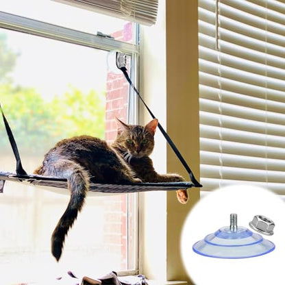 XJKJ 6 PCS cat Window Hammock Suction cat bass Cats Hammock Hanging pet Supplies M8*15 Screw Transparent suctions Cup, Screw Suction Cup 85mm/3.4 "PVC suctions Cup