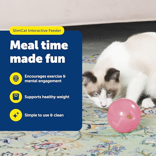 PetSafe Slimcat Feeder Ball - Interactive Game for Your Cat - Fill with Food and Treats - Pink - color: Pink