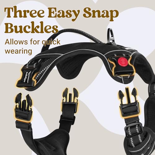 rabbitgoo Dog Harness Small Sized Dog, No Pull Pet Harness with Soft Padded Handle, Adjustable Reflective Vest with 3 Buckles, Easy Walking Harness with 2 Leash Clips, Black, S - color: Black, size: Small