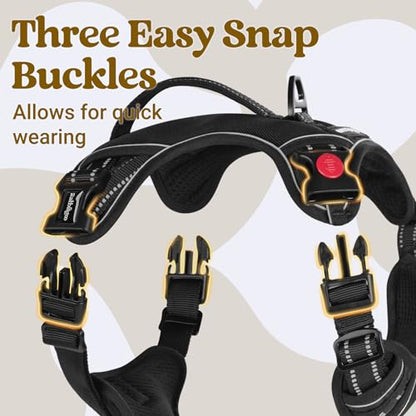 rabbitgoo Dog Harness Small Sized Dog, No Pull Pet Harness with Soft Padded Handle, Adjustable Reflective Vest with 3 Buckles, Easy Walking Harness with 2 Leash Clips, Black, S - color: Black, size: Small