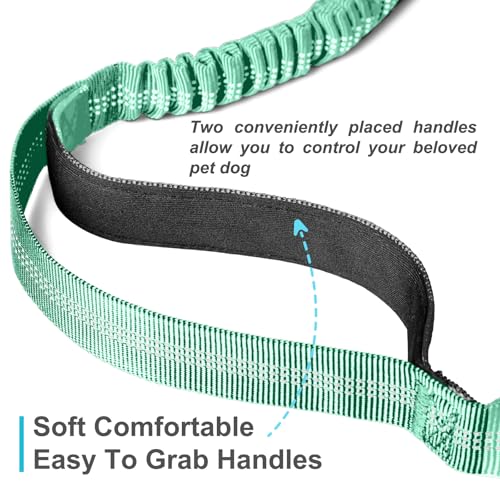 Laqibak Hands Free Dog Leash, Adjustable Waist Leash for Dog, Handle Bungee 4.2-6.7 Feet Long with Reflective Stitches for Walking Hiking Running, Fits 26"- 43" Waist, Mint Green - color: Mint Green