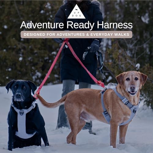 Effortless No-Pull Dog Harness with Magnetic Buckle – One-Hand On/Off Comfort Fit for Small, Medium & Large Breeds | Soft Padded, Adjustable, and Durable by Up Dog Shop (Large) - size: Large (55-90+ lbs)
