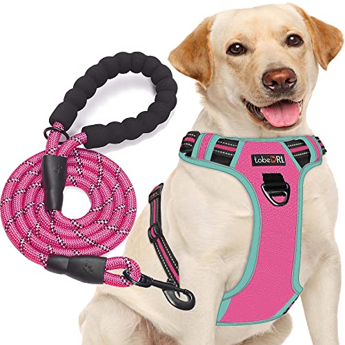 tobeDRI No Pull Dog Harness Adjustable Reflective Oxford Easy Control Medium Large Dog Harness with A Free Heavy Duty 5ft Dog Leash - color: Pink/Blue Harness+Leash, size: Medium