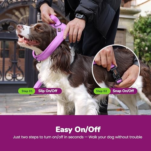 Didog No Pull Dog Harness with Soft Mesh Padded,Reflective & Quick Fit Light Weight Dog Strap Vest Harness,Easy for Walking Training (S:Chest 18-22", Purple) - color: Purple, size: S: Chest 18-22", Fit 19-29 lbs