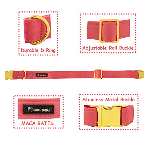 Maca Bates Dog Collar and Leash Set, Adjustable Solid Dog Collar and Leash for Small Medium Large Dog with Golden Metal Buckle - color: set-peach red, size: XS