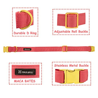 Maca Bates Dog Collar and Leash Set, Adjustable Solid Dog Collar and Leash for Small Medium Large Dog with Golden Metal Buckle - color: set-peach red, size: XS