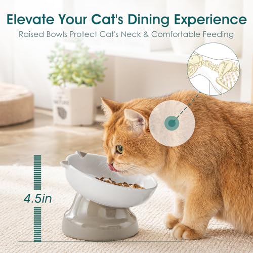vancasso Ceramic Elevated Slow Feeder Cat Bowls,Slow Feeder Elevated Cat Bowl Wet Food, Raised Cats Bowl for Indoor Cats (Grey) - color: Grey