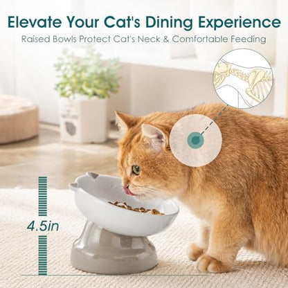 vancasso Ceramic Elevated Slow Feeder Cat Bowls,Slow Feeder Elevated Cat Bowl Wet Food, Raised Cats Bowl for Indoor Cats (Grey) - color: Grey