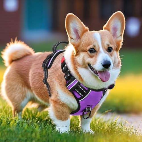 Dog Harness Small Sized, No Pull with Neck Lockable Snap,No Choke Front Clip Dog Reflective Harness,Adjustable Metal Rings 3 Buckles,Easy Control Handle for Small Dogs Purple S - color: Lock Purple, size: Small (Pack of 1)