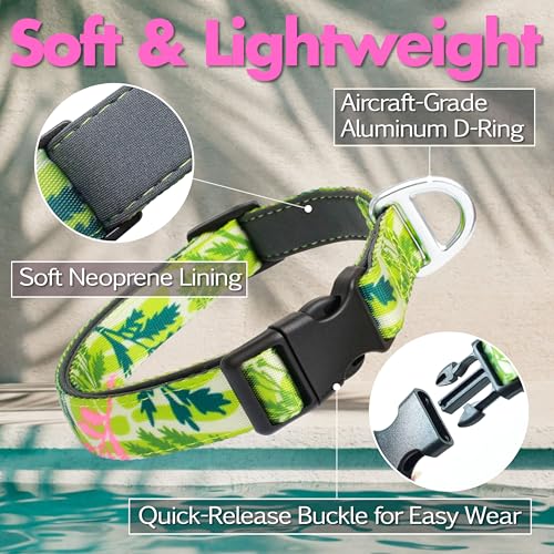 Small Dog Collar with Reflective Logo and Soft Padded Neoprene,Summer Tropical Leaf Design, Adjustable,Lightweight & Durable, Neck Size 9’’-14’’ (Leaf, S) - color: Tropical Leaf, size: S (Neck 9''– 14'')