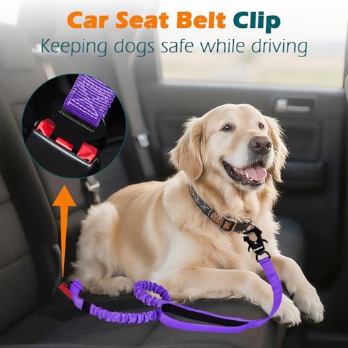 Heavy Duty Tactical Dog Leash, 5 FT Bungee Shock Absorption Leash with 2 Padded Handles, Quick Release Metal Clip, Car Seatbelt, No Pull Training Lead for Large Medium Dogs（Purple） - color: Purple