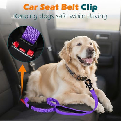 Heavy Duty Tactical Dog Leash, 5 FT Bungee Shock Absorption Leash with 2 Padded Handles, Quick Release Metal Clip, Car Seatbelt, No Pull Training Lead for Large Medium Dogs（Purple） - color: Purple