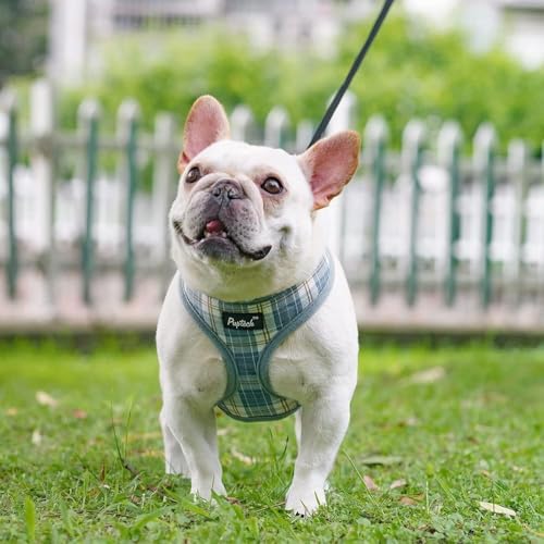 PUPTECK Soft Mesh Dog Harness and Leash Set Pet Puppy Cat Comfort Padded Vest No Pull Harnesses, Sky Blue, XS - color: Sky Blue, size: XS (NECK: 10", CHEST: 10"-14")