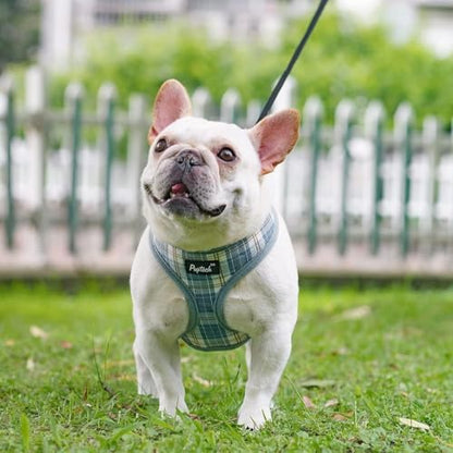 PUPTECK Soft Mesh Dog Harness and Leash Set Pet Puppy Cat Comfort Padded Vest No Pull Harnesses, Sky Blue, XS - color: Sky Blue, size: XS (NECK: 10", CHEST: 10"-14")