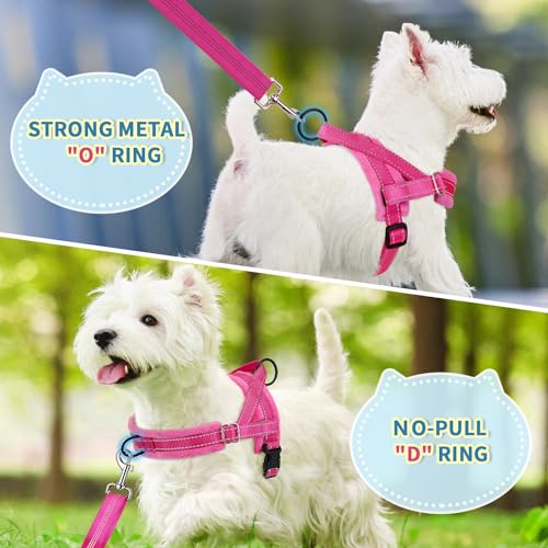 SlowTon No Pull Small Dog Harness and Leash Set, Puppy Soft Vest Harness Neck & Chest Adjustable, Reflective Lightweight Harness & Anti-Twist Pet Lead Combo for Small Medium Dogs (Fuchsia, S) - color: A-Fuchsia - With Front Clip, size: Small