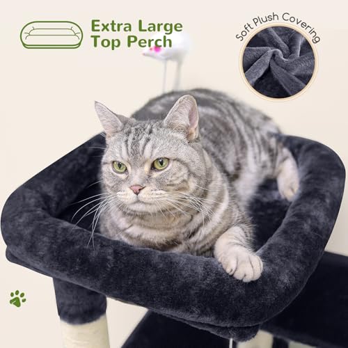 Globlazer Cat Tree Tower for Indoor Cats, 50-inch Adult Cat Tree House for Large Adult Cats with Steps, Scratching Post, 2 Cat Caves, Dangling Toys, FC50, Dark Grey - color: Dark Grey