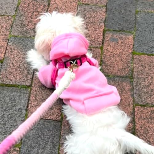 Jecikelon Winter Dog Hoodie Sweatshirts with Pockets Warm Dog Clothes for Small Dogs Chihuahua Coat Clothing Puppy Cat Custume (Pink, X-Small) - color: Pink, size: X-Small