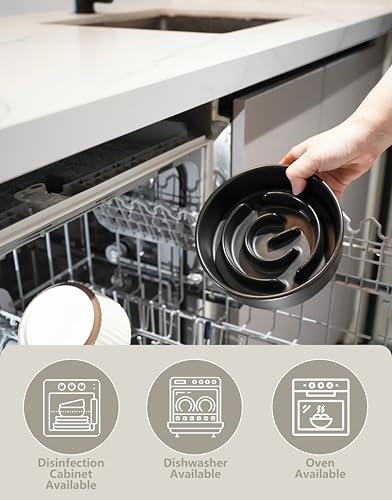 Ceramic Slow Feeder Dog Bowls, 0.6 Cup Slow Feeder for Small Dogs, Puzzle Maze Bowl, Prevents Choking, 6in, Black - color: Black, size: 6 Inches