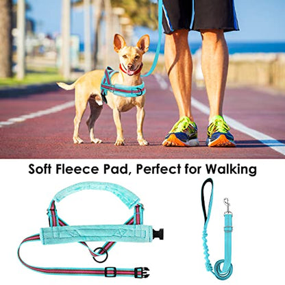 Lukovee No Pull Dog Harness and Leash Set, Soft Padded Small Dog Harness, Neck & Chest Adjustable Reflective Vest Puppy Harness with 4ft Lightweight Anti-Twist Dog Leash for Small Dogs (XS, 01-LBL) - color: Light Blue - with Stripe, size: XS ( Chest 14''