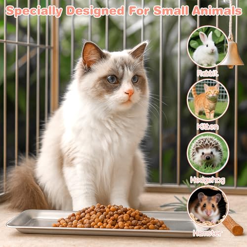 2 Pack Cat Food Bowls, Stainless Steel Extra Wide Anti Whisker Fatigue Dishes, Shallow Pet Bowls for Multi-Cat Families and Flat Face Breeds