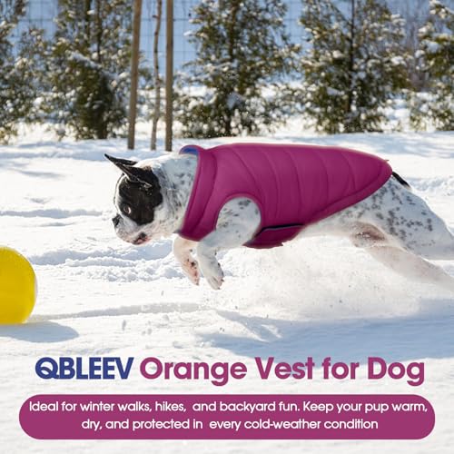 QBLEEV Reversible Dog Coat for Medium Dogs, Waterproof Windproof Winter Jacket Keeps Dogs Warm in Snow, Adjustable Hook & Loop Lightweight Dog Puffer Vest, Purple, L – Fits French Bulldog - color: Violet-Blue, size: Large