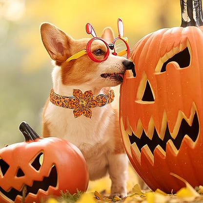Dog Collar, Halloween Pet Collar with Flower Pumpkin Pet Collar Flower Puppy Collars Cute Adjustable Collars for X-Small Puppy - color: Flower Pumpkin, size: X-Small (Pack of 1)