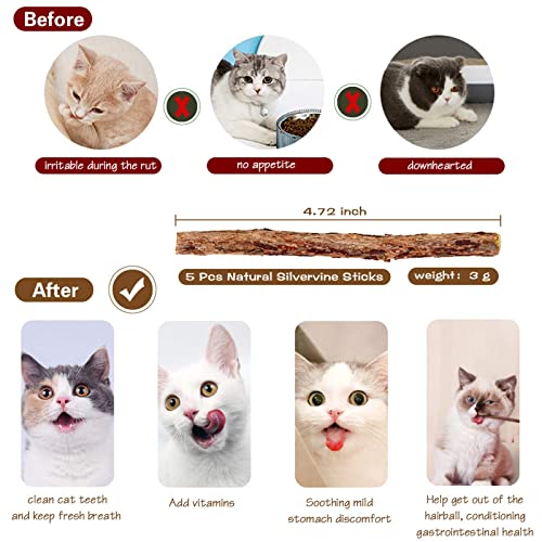 3-Pack Cat Wand Toys, 16-Inch Natural Wooden Teaser Wand with 5 Silvervine Sticks, Interactive Feather Wand for Indoor Cats - color: RedOrangeBrown-3pcs