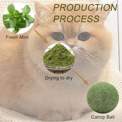 Catnip Balls for Cats - 4 inches Diameter Catnip Ball, Interactive Cat Toy for Indoor Cats, Cat Nip Licking Balls - size: 4 inch