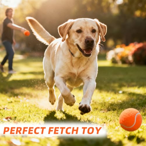 PoyPet 16-Pack Tennis Balls Bulk for Practice,Training and Beginners | Ideal for Dog Fetch,Chew and Play - color: Orange