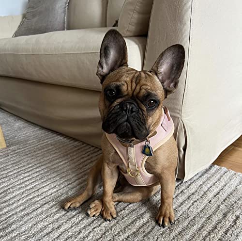 Premium No-Pull Dog Harness Soft Neoprene & Breathable Mesh Vest with Front & Back Clip D-Rings Adjustable Lightweight Walking Harness for Puppies, Small & Medium Dogs (Rose Beige, XXS) - color: Rose Beige, size: XXS: Neck=9.1-13'', Chest=10.6-14.6''