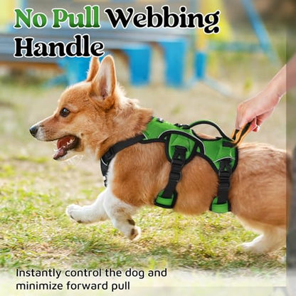 rabbitgoo Escape Proof Dog Harness, Soft Padded Full Body Pet Harness, Reflective Adjustable No Pull Vest with Lift Handle and Lesh Clip for Large Dogs Walking Hiking Training, S, Green - color: Green, size: Small (Pack of 1)
