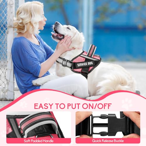 Service Dog Vest Harness and Leash Set, Animire in Training Dog Harness with 10 Dog Patches, Reflective Dog Leash with Soft Padded Handle for Small, Medium, Large, and Extra-Large Dogs - color: Rosy, size: XXS