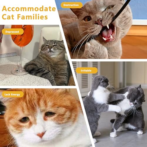 3 Pack Catnip Toys,Soft and Durable Cat Pillows Toys, Crinkle Sound Catnip Toys,Indoor Interactive Cat Kicker Toy, Companion Toys for Cats (Rainbow Set) - color: Rainbow Set
