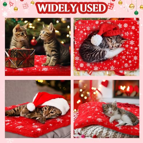 2 Pack Winter Self Warming Cat Mat Snowflake Red Self Heating Pad Bed 22" x 18" Reversible Reflects Body Heat Machine Washable Thermal Pet Blanket for Winter Indoor Pet Kitten Dog Crate - color: Red