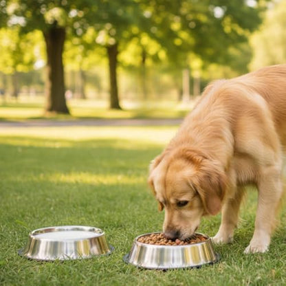 Stainless Steel Dog Bowl Pack of 2, Food & Water Bowl for Dogs, Durable Dog Feeding Bowl, Bowls for Small Dogs, Easy to Clean, Anti-Skid Pet Bowl - 16 oz (Silver) - color: Silver