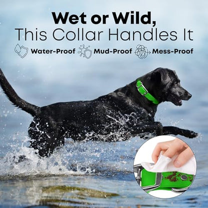 Regal Dog Products Small Light Green Waterproof Dog Collars with Custom Engraved Name Plate | Vinyl Coated, Easy to Clean Personalized Biothane Dog Collar - Other Sizes for Medium & Large Dogs - color: Light Green, size: Small Collar