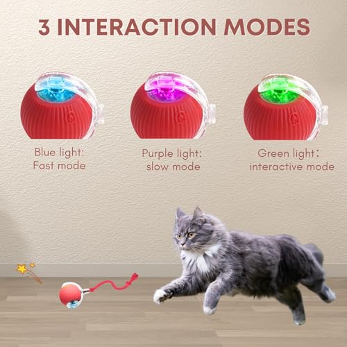 Interactive Cat Toys for Indoor Cats, 360° Automatic Moving Cat Ball, Rechargeable Rolling Ball, Toys for Indoor Interactive Kitten and Dog, Red