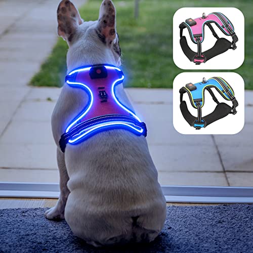 Safety LED Dog Harness - Light Up Dog Vest, No-Pull Dog Harness - Rechargeable Glowing Pet Harness for Night Walking & Camping (Pink+Blue Light, Medium) - color: Pink+Blue Light, size: Medium