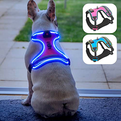 Safety LED Dog Harness - Light Up Dog Vest, No-Pull Dog Harness - Rechargeable Glowing Pet Harness for Night Walking & Camping (Pink+Blue Light, Medium) - color: Pink+Blue Light, size: Medium