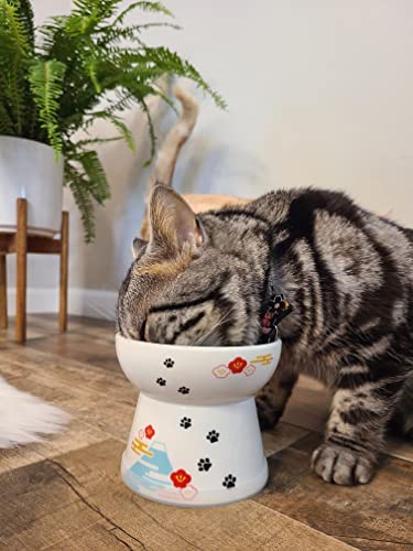 Necoichi Raised Cat Food Bowl – Ceramic Elevated Cat Bowl for Whisker & Neck Fatigue, Dishwasher Microwave Safe – Non-Slip & Anti Vomiting Ergonomic Design (Fuji, Large, 2-Cup Capacity) - color: Fuji, size: Large Flat (2 Cups)