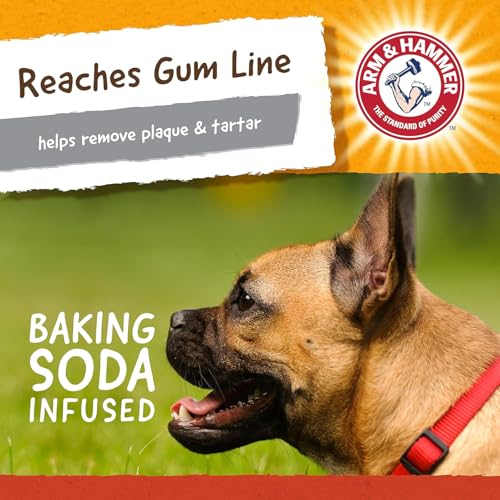 Arm and Hammer for Pets Super Treadz Mini Gorilla Dental Chew Toy for Dogs - Reduces Plaque and Tartar Without Brushing, Baking Soda Infused, Dishwasher Safe, Dogs Up to 25 Lbs, 3.5 Inch - 3 Pack - size: Small (Pack of 3), style: Gorilla