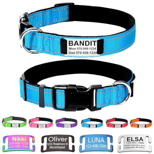 Custom Dog Collars with Name Plate, Engraved Name Plate ID Tags with Reflective Nylon Dog Collar,Soft Neoprene Padded Adjustable Pet Collar for Small Medium Large Dogs,XS Sky Blue - color: Sky Blue, size: XS(9-12") x 5/8"