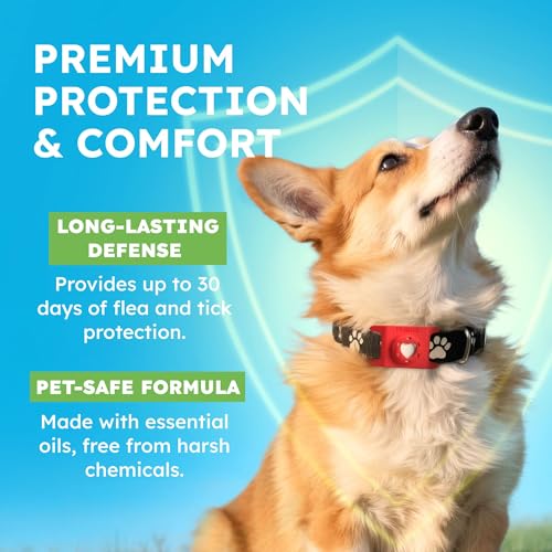 BugMD Paw Guardian Refill, Plant-Powered Flea & Tick Protection Tablets, 3 Count, 30-Day Protection, Natural Essential Oil Formula - color: Refill, size: 1 Pack