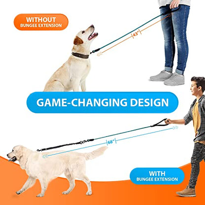 SparklyPets - Heavy Duty Bungee Rope Leash for Large and Medium Dogs - No Pull, Shock Absorber Long Dog Training Lead - No Slip Reflective Line for Outside (5.5 Ft Bungee Leash) - color: Teal