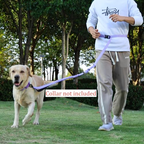 Hands Free Dog Leash, No Pull Bungee Dog Running Waist Leash, with Car Seat Belt, Reflective Stripes, Heavy Duty for Medium and Large Dogs. (Solid Lilac, Large) - color: Solid Lilac